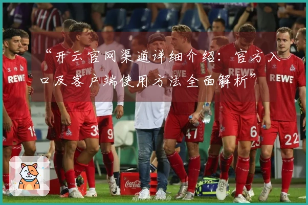 “开云官网渠道详细介绍：官方入口及客户端使用方法全面解析”